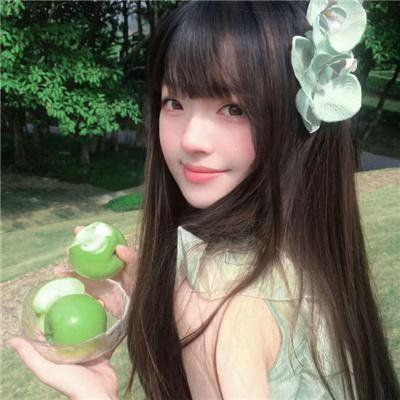 踏雪寻熊